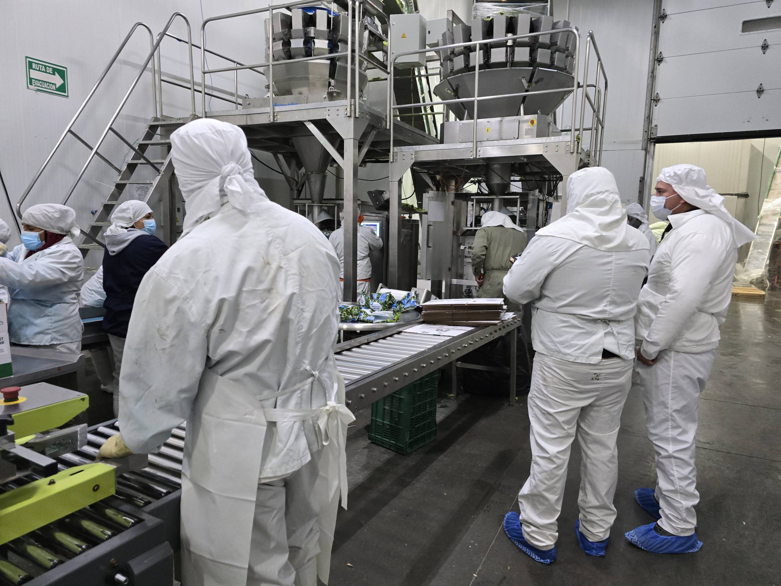 ESPECIALISTA EN ELABORACION DE ANALISIS DE RIESGOS ERGONOMICOS DE ACUERDO CON NOM 036- 1 STPS-2018